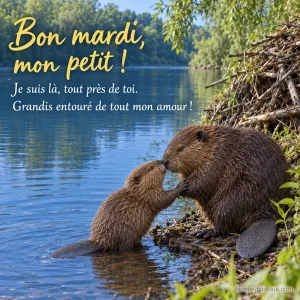 Un castor d’Europe adulte et son petit se touchent doucement le museau devant leur hutte. Le message est : « Bon mardi, mon petit ! Je suis là, tout près de toi. Grandis entouré de tout mon amour ! ».