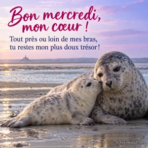 Une mère phoque veau-marin baisse tendrement la tête vers son petit blotti contre sa joue. Le message est : « Bon mercredi, mon cœur ! Tout près ou loin de mes bras, tu restes mon plus doux trésor ! ».