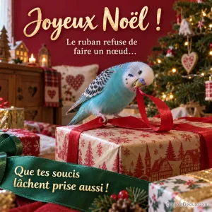 Une perruche turquoise essaie de saisir le bout d’un ruban de cadeau, avec le texte « Joyeux Noël ! Le ruban refuse de faire un nœud… Que tes soucis lâchent prise aussi ! ».