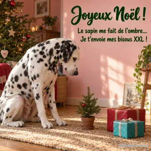 Un grand dalmatien observe un sapin de Noël minuscule décoré d’une seule boule rouge. Le message est : « Joyeux Noël ! Le sapin me fait de l’ombre… Je t’envoie mes bisous XXL ! ».