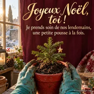 Deux mains gantées protègent un jeune sapin vivant à replanter après Noël. Le message est : « Joyeux Noël, toi ! Je prends soin de nos lendemains, une petite pousse à la fois. ».