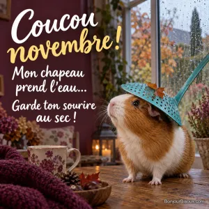 Un cochon d’Inde caramel et blanc porte une écumoire turquoise comme chapeau dans une véranda, devant la pluie de novembre, avec le texte « Coucou novembre ! Mon chapeau prend l’eau… Garde ton sourire au sec ! ».