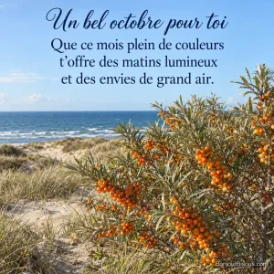 Un argousier chargé de baies orange se balance sur une dune de Picardie. Le texte indique : « Un bel octobre pour toi Que ce mois plein de couleurs t’offre des matins lumineux et des envies de grand air. »