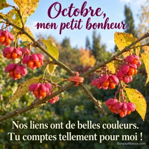 Deux rameaux de fusain d’Europe rose vif se rejoignent et sont réunis par une petite attache corail comme une tendre étreinte. Le message est : « Octobre, mon petit bonheur Nos liens ont de belles couleurs. Tu comptes tellement pour moi ! ».