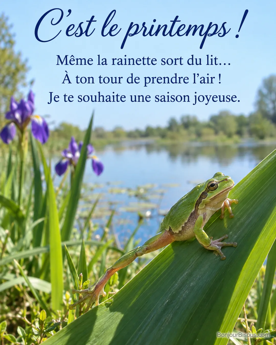 Une rainette verte s’étire sur une feuille d’iris au bord d’une mare, avec le texte « C’est le printemps ! Même la rainette sort du lit… À ton tour de prendre l’air ! Je te souhaite une saison joyeuse. ». Une rainette verte s’étire sur une feuille d’iris au bord d’une mare, avec le texte « C’est le printemps ! Même la rainette sort du lit… À ton tour de prendre l’air ! Je te souhaite une saison joyeuse. ».