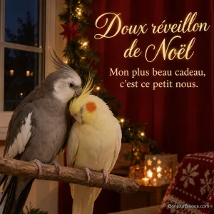 Deux calopsittes grise et jaune échangent une tendre attention sur leur perchoir près des décorations de Noël. Le message est : « Doux réveillon de Noël Mon plus beau cadeau, c’est ce petit nous. ».