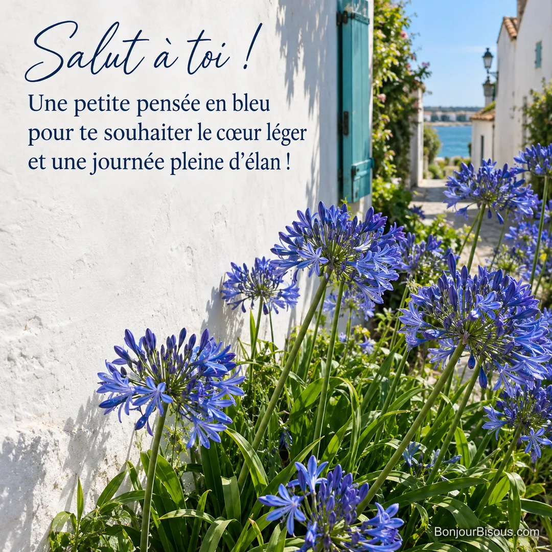 Des agapanthes bleues se balancent devant les murs blancs d’un village de l’île de Ré, avec le texte « Salut à toi ! Une petite pensée en bleu pour te souhaiter le cœur léger et une journée pleine d’élan ! ». Des agapanthes bleues se balancent devant les murs blancs d’un village de l’île de Ré, avec le texte « Salut à toi ! Une petite pensée en bleu pour te souhaiter le cœur léger et une journée pleine d’élan ! ».