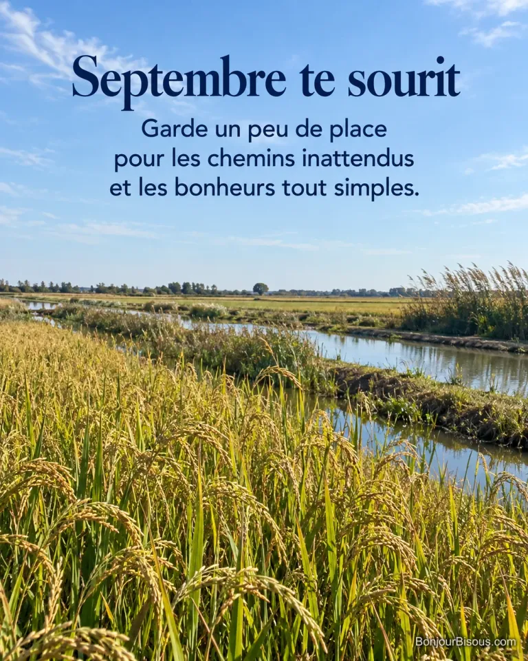 Des rangs de riz doré et des rigoles d’irrigation traversent une rizière camarguaise. L’image porte le texte « Septembre te sourit Garde un peu de place pour les chemins inattendus et les bonheurs tout simples. ».