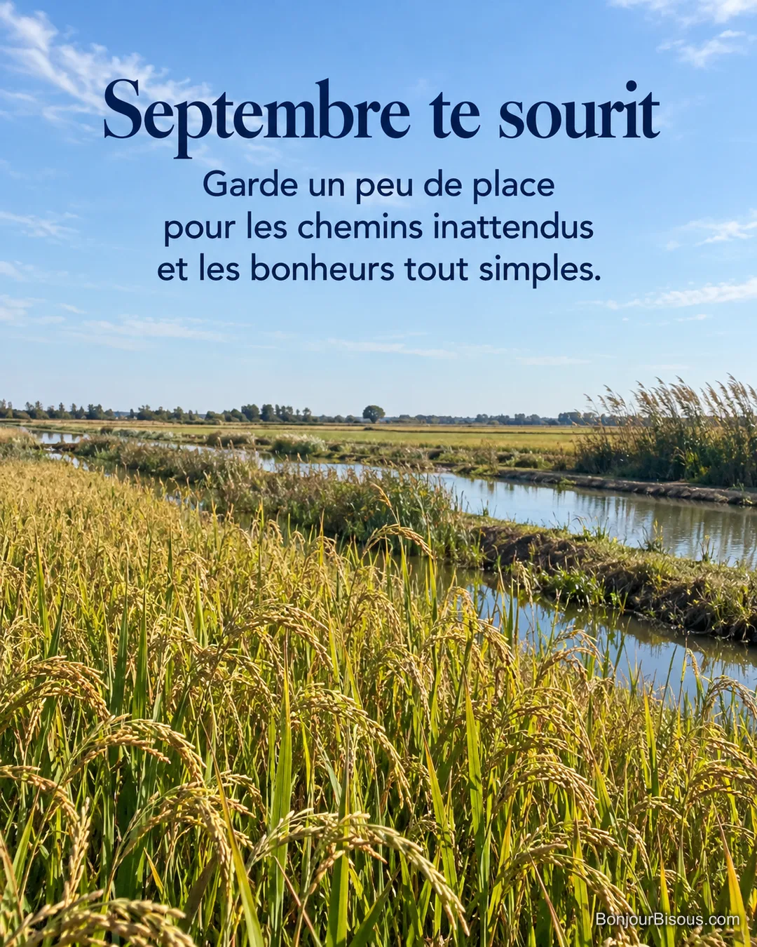 Des rangs de riz doré et des rigoles d’irrigation traversent une rizière camarguaise. L’image porte le texte « Septembre te sourit Garde un peu de place pour les chemins inattendus et les bonheurs tout simples. ». Des rangs de riz doré et des rigoles d’irrigation traversent une rizière camarguaise. L’image porte le texte « Septembre te sourit Garde un peu de place pour les chemins inattendus et les bonheurs tout simples. ».