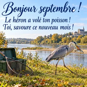 Un héron cendré emporte un poisson argenté depuis une épuisette de pêche posée au bord de la rivière, avec le message « Bonjour septembre ! Le héron a volé ton poisson ! Toi, savoure ce nouveau mois ! ».