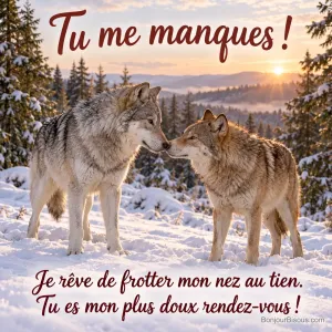 Deux loups de pelages différents se saluent doucement nez contre nez dans une clairière hivernale. Le message est : « Tu me manques ! Je rêve de frotter mon nez au tien. Tu es mon plus doux rendez-vous ! ».